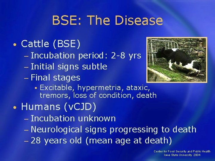 BSE: The Disease • Cattle (BSE) − Incubation period: 2 -8 yrs − Initial