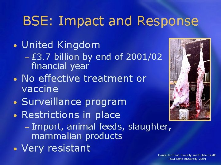 BSE: Impact and Response • United Kingdom − £ 3. 7 billion by end