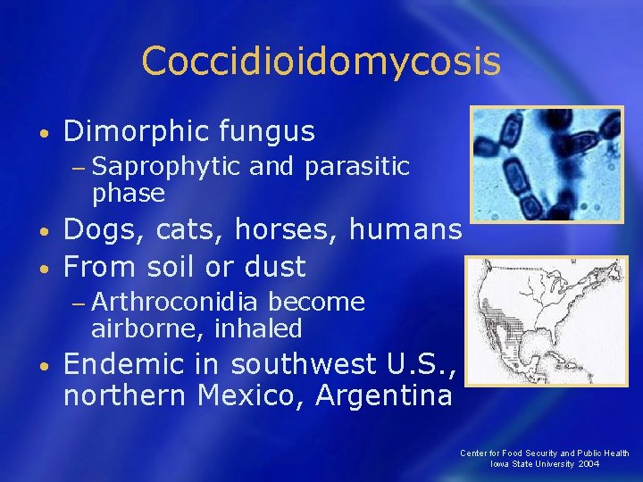 Coccidioidomycosis • Dimorphic fungus − Saprophytic phase and parasitic Dogs, cats, horses, humans •