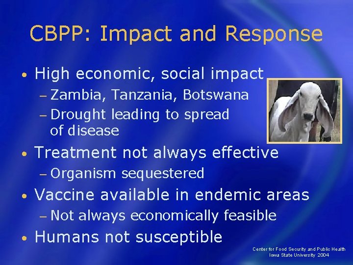 CBPP: Impact and Response • High economic, social impact − Zambia, Tanzania, Botswana −