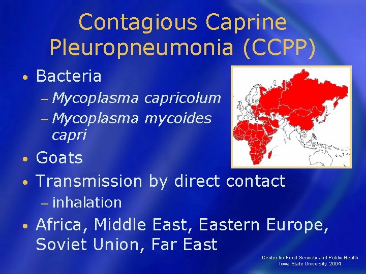 Contagious Caprine Pleuropneumonia (CCPP) • Bacteria − Mycoplasma capricolum − Mycoplasma mycoides capri Goats