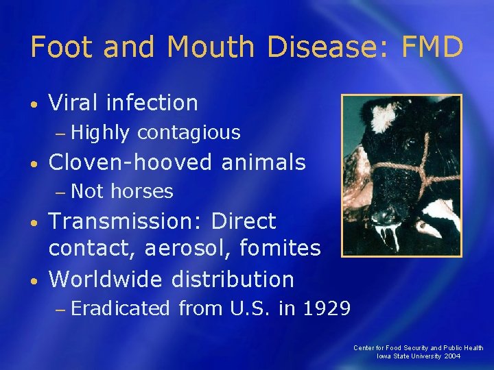 Foot and Mouth Disease: FMD • Viral infection − Highly • contagious Cloven-hooved animals