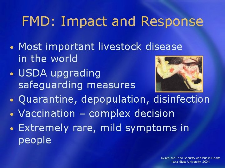 FMD: Impact and Response • • • Most important livestock disease in the world