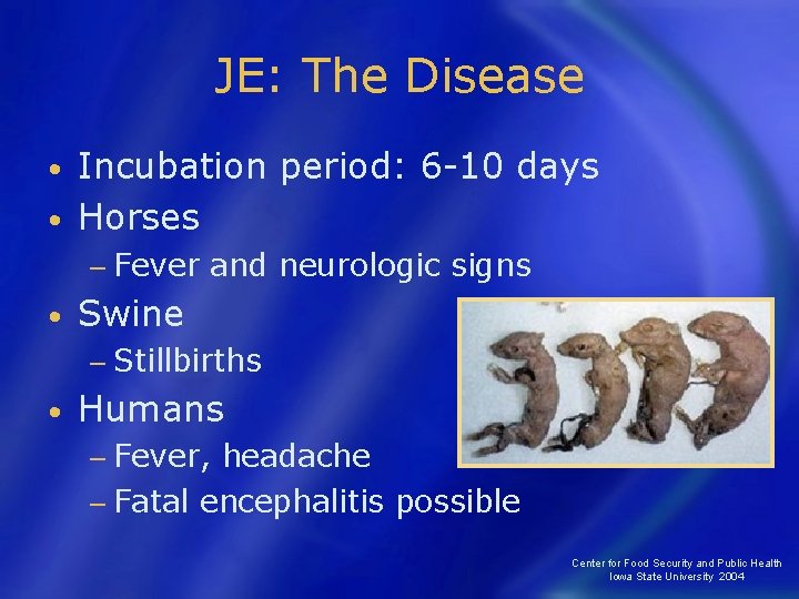 JE: The Disease Incubation period: 6 -10 days • Horses • − Fever •