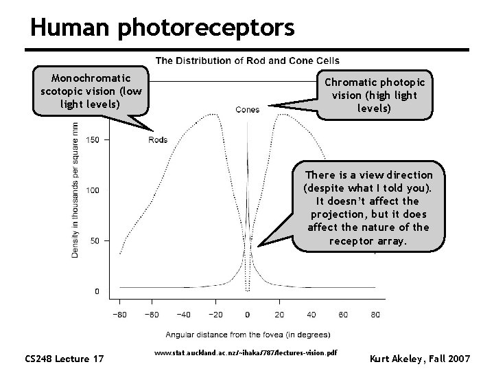 Human photoreceptors Monochromatic scotopic vision (low light levels) Chromatic photopic vision (high light levels)
