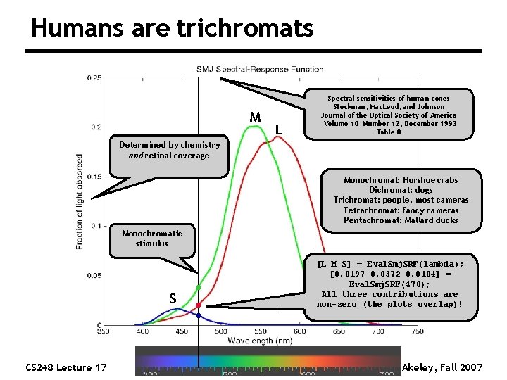 Humans are trichromats M L Spectral sensitivities of human cones Stockman, Mac. Leod, and