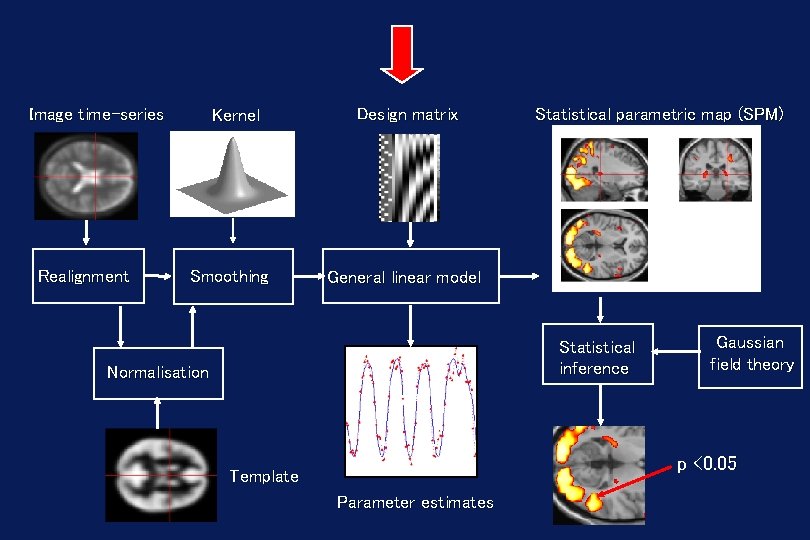 Image time-series Realignment Kernel Smoothing Design matrix Statistical parametric map (SPM) General linear model