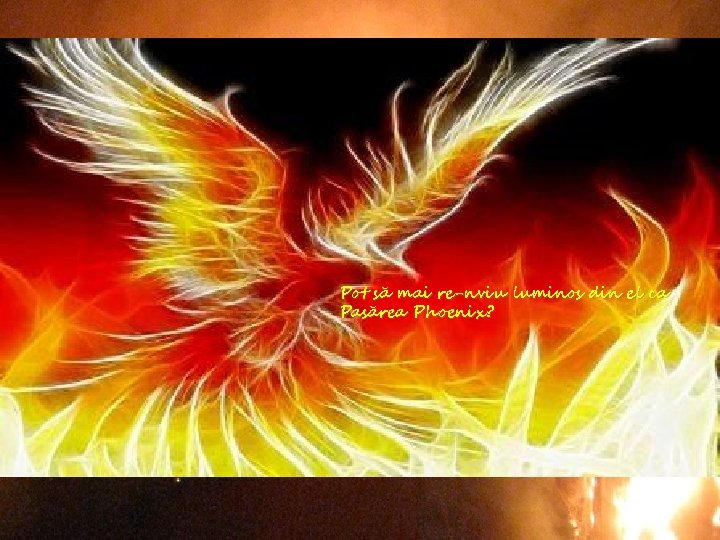 Pot să mai re-nviu luminos din el ca Pasărea Phoenix? 