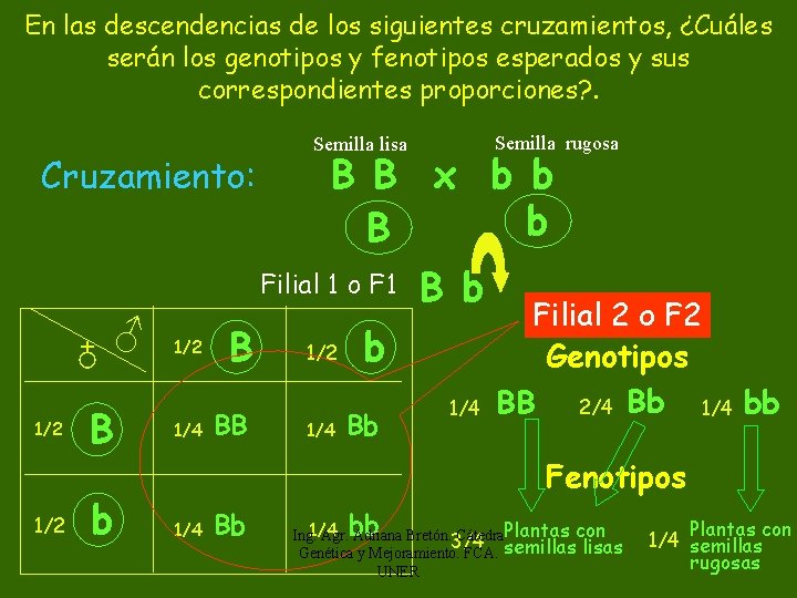 En las descendencias de los siguientes cruzamientos, ¿Cuáles serán los genotipos y fenotipos esperados