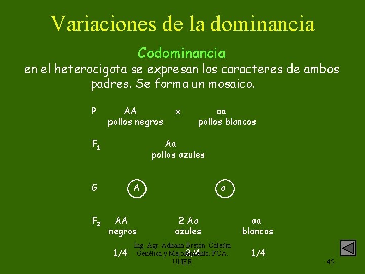 Variaciones de la dominancia Codominancia en el heterocigota se expresan los caracteres de ambos