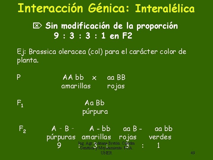 Interacción Génica: Interalélica Sin modificación de la proporción 9 : 3 : 1 en