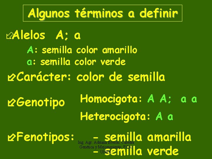 Algunos términos a definir ÷Alelos A; a A: semilla color amarillo a: semilla color