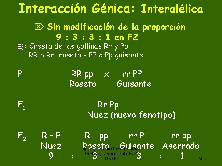 Interacción Génica: Interalélica Ej: P F 1 F 2 Sin modificación de la proporción