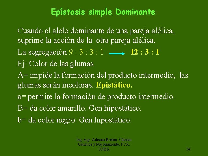 Epístasis simple Dominante Cuando el alelo dominante de una pareja alélica, suprime la acción