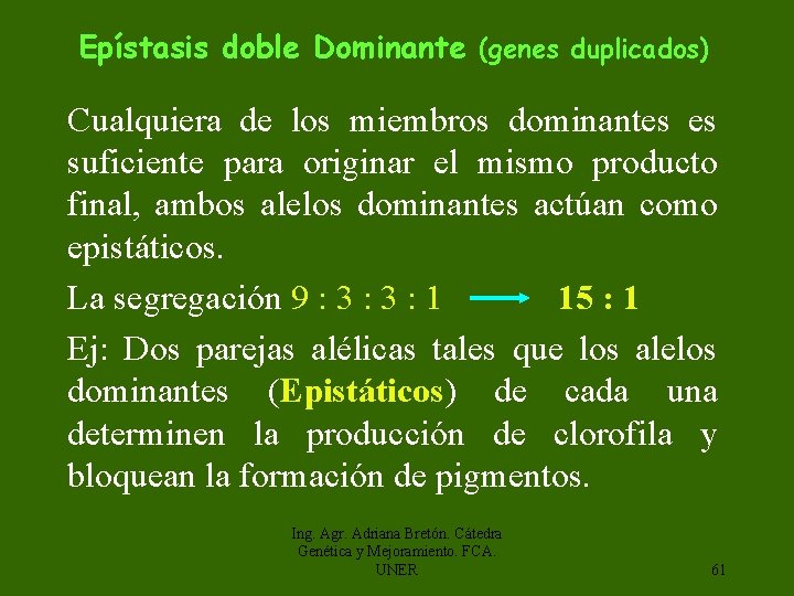 Epístasis doble Dominante (genes duplicados) Cualquiera de los miembros dominantes es suficiente para originar