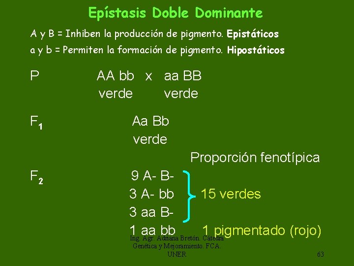 Epístasis Doble Dominante A y B = Inhiben la producción de pigmento. Epistáticos a