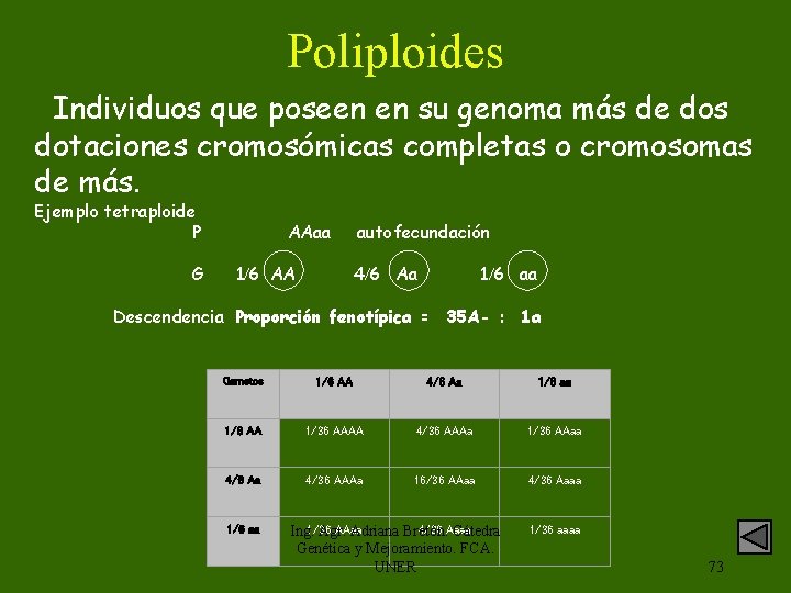 Poliploides Individuos que poseen en su genoma más de dos dotaciones cromosómicas completas o