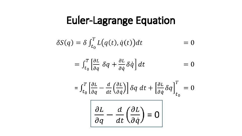 Euler-Lagrange Equation • 