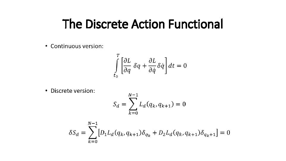 The Discrete Action Functional • 