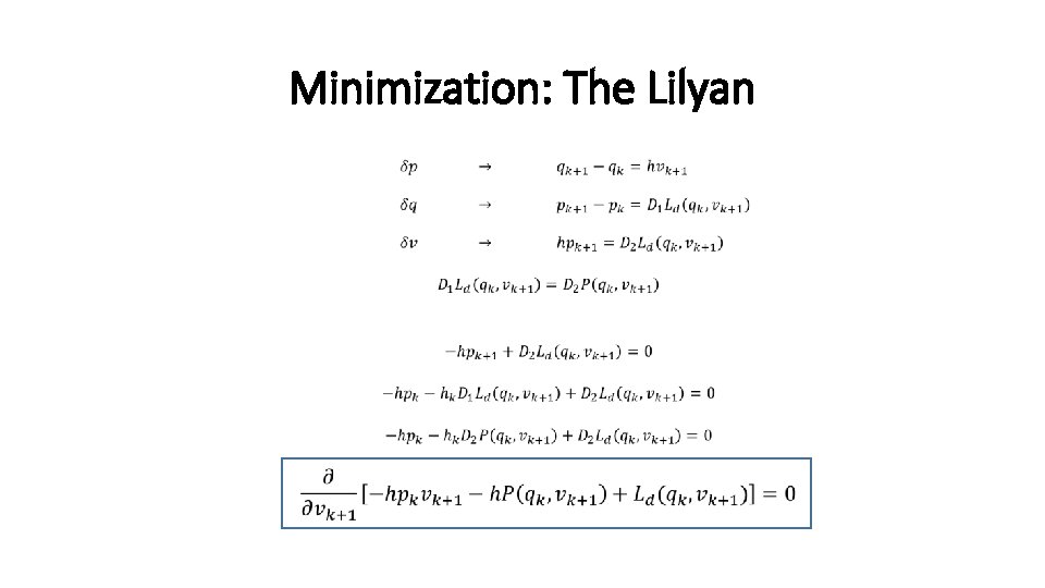 Minimization: The Lilyan • 