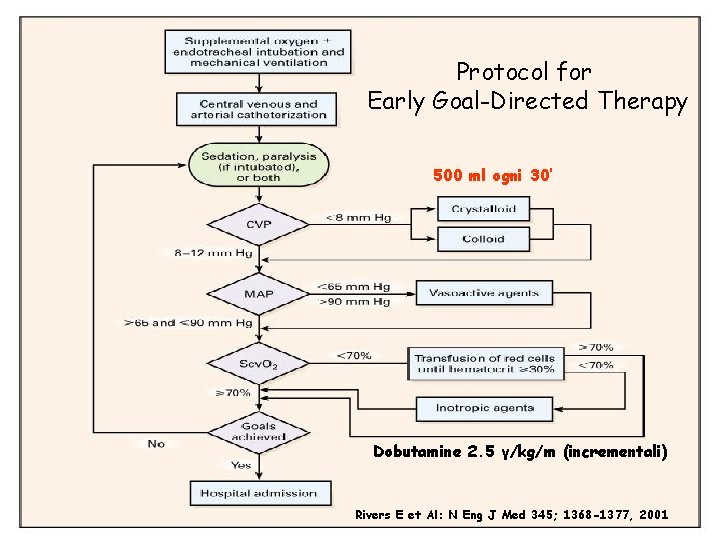 Protocol for Early Goal-Directed Therapy 500 ml ogni 30’ Dobutamine 2. 5 γ/kg/m (incrementali)