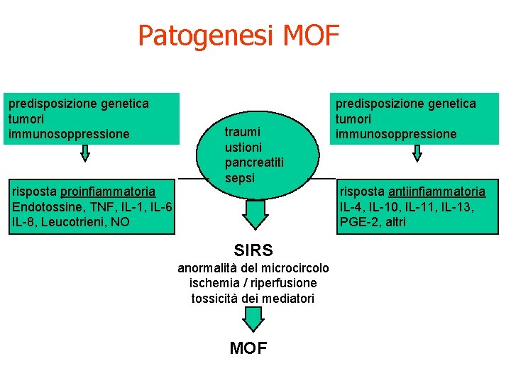 Patogenesi MOF predisposizione genetica tumori immunosoppressione risposta proinfiammatoria Endotossine, TNF, IL-1, IL-6 IL-8, Leucotrieni,