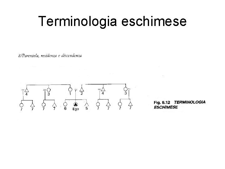 Terminologia eschimese 