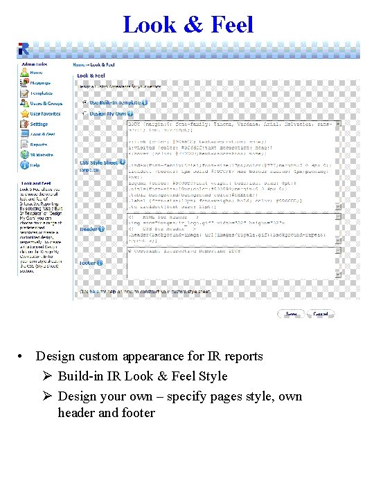 Look & Feel • Design custom appearance for IR reports Ø Build-in IR Look