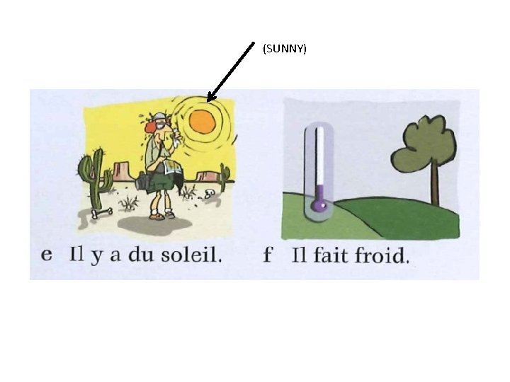 (SUNNY) 