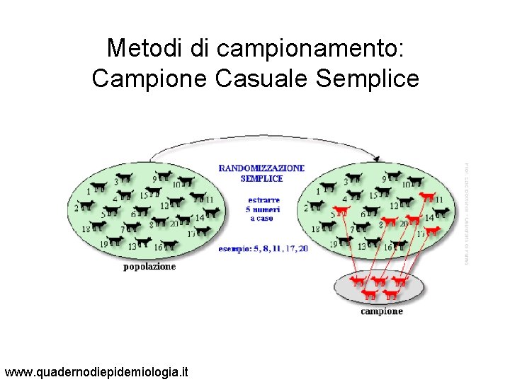 Metodi di campionamento: Campione Casuale Semplice www. quadernodiepidemiologia. it 