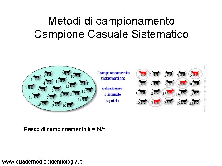 Metodi di campionamento Campione Casuale Sistematico Passo di campionamento k = N/n www. quadernodiepidemiologia.
