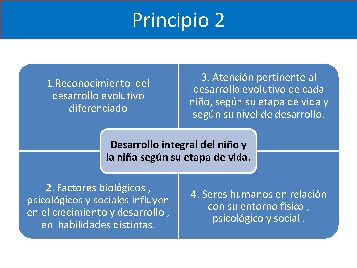 Principio 2 1. Reconocimiento del desarrollo evolutivo diferenciado 3. Atención pertinente al desarrollo evolutivo Principio 2 1. Reconocimiento del desarrollo evolutivo diferenciado 3. Atención pertinente al desarrollo evolutivo
