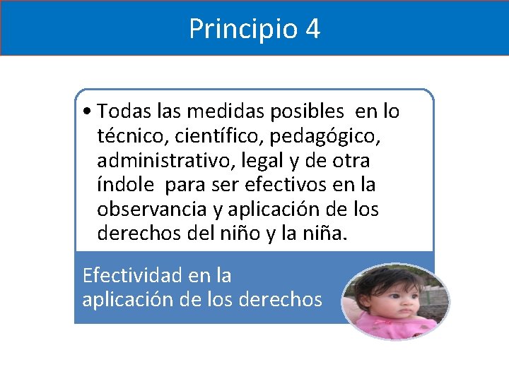 Principio 4 • Todas las medidas posibles en lo técnico, científico, pedagógico, administrativo, legal Principio 4 • Todas las medidas posibles en lo técnico, científico, pedagógico, administrativo, legal