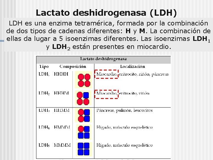 Lactato deshidrogenasa (LDH) LDH es una enzima tetramérica, formada por la combinación de dos