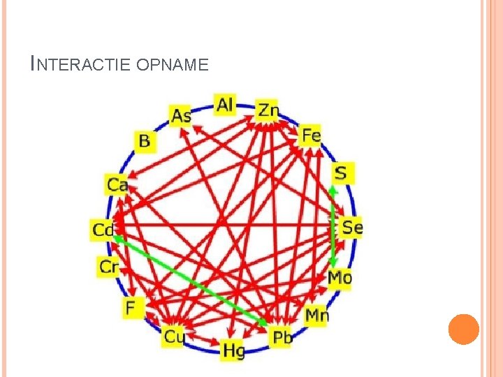 INTERACTIE OPNAME 