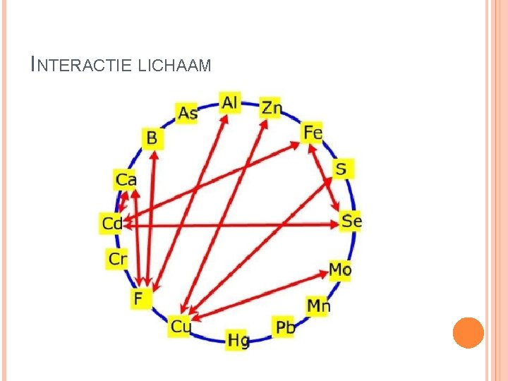 INTERACTIE LICHAAM 