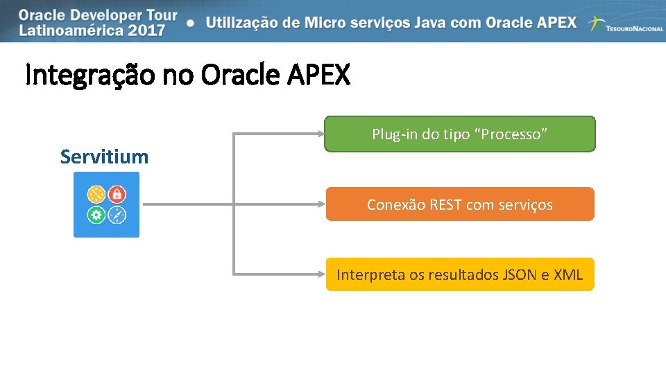 Integração no Oracle APEX Servitium Plug-in do tipo “Processo” Conexão REST com serviços Interpreta