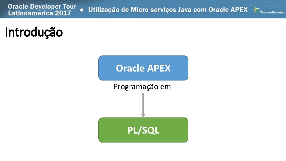 Introdução Oracle APEX Programação em PL/SQL 