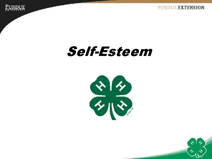 Self-Esteem 1 