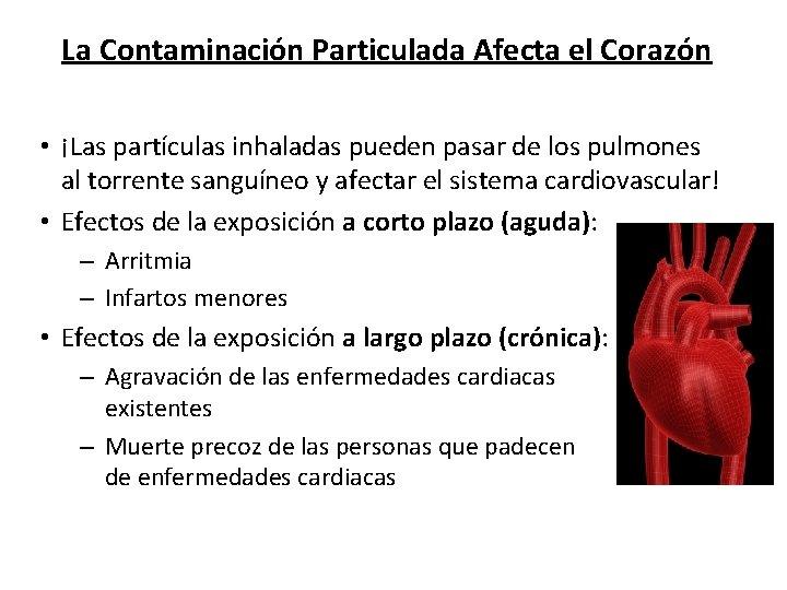 La Contaminación Particulada Afecta el Corazón • ¡Las partículas inhaladas pueden pasar de los