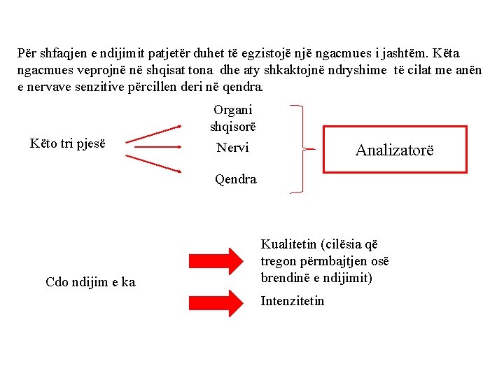 Për shfaqjen e ndijimit patjetër duhet të egzistojë ngacmues i jashtëm. Këta ngacmues veprojnë