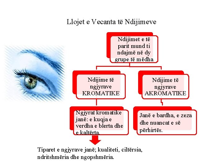 Llojet e Vecanta të Ndijimeve Ndijimet e të parit mund ti ndajmë në dy