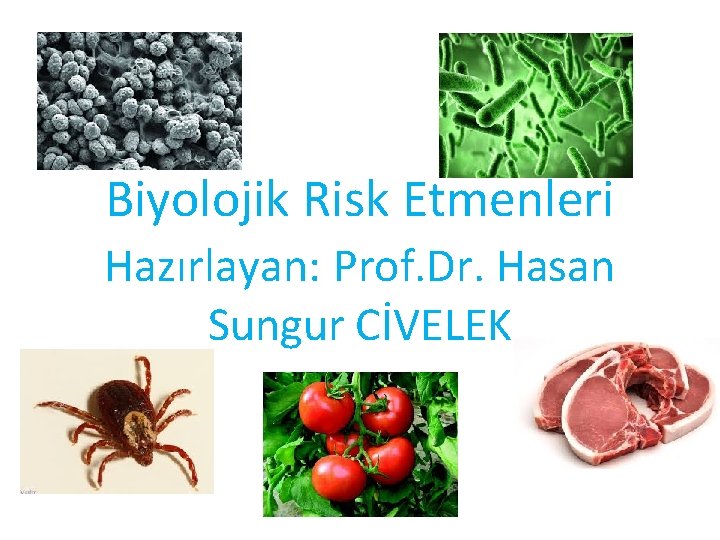 Biyolojik Risk Etmenleri Hazırlayan: Prof. Dr. Hasan Sungur CİVELEK 