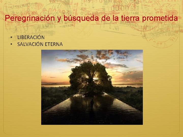 Peregrinación y búsqueda de la tierra prometida • LIBERACIÓN • SALVACIÓN ETERNA 