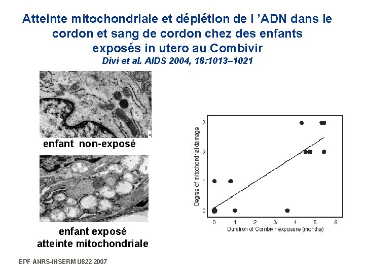 Atteinte mitochondriale et déplétion de l ’ADN dans le cordon et sang de cordon