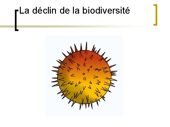 La déclin de la biodiversité 