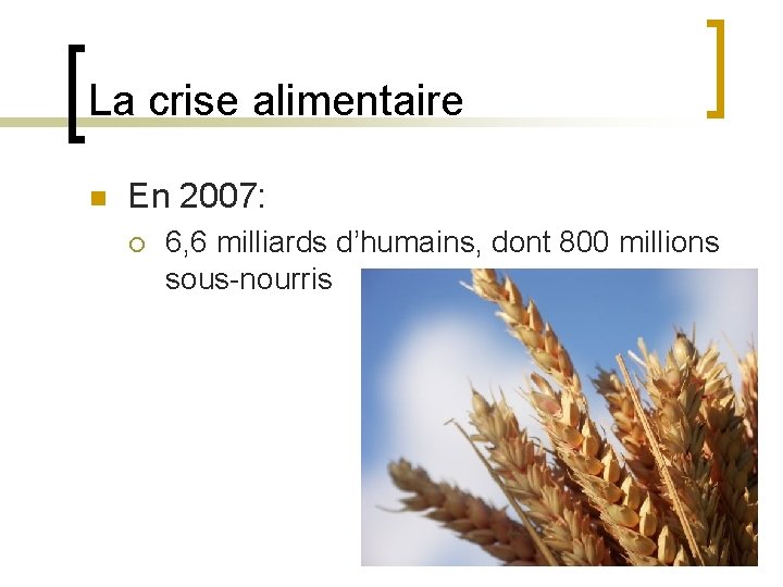 La crise alimentaire n En 2007: ¡ 6, 6 milliards d’humains, dont 800 millions