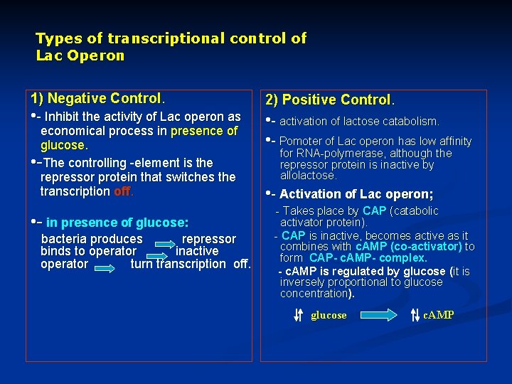 Types of transcriptional control of Lac Operon 1) Negative Control. • - Inhibit the