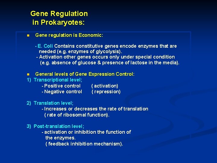 Gene Regulation in Prokaryotes: n Gene regulation is Economic: - E. Coli Contains constitutive