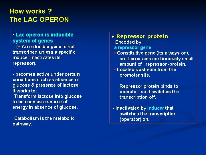 How works ? The LAC OPERON • Lac operon is inducible system of genes